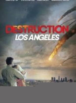 Destruction Los Angeles