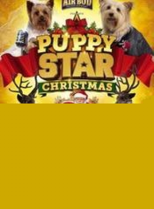 Puppy Star Cest Nol