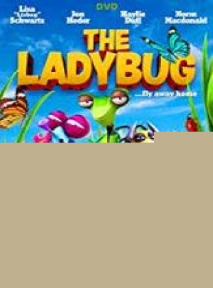 The Ladybug