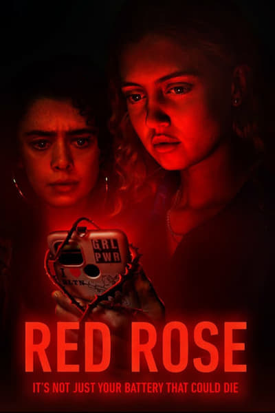red-rose-saison-1