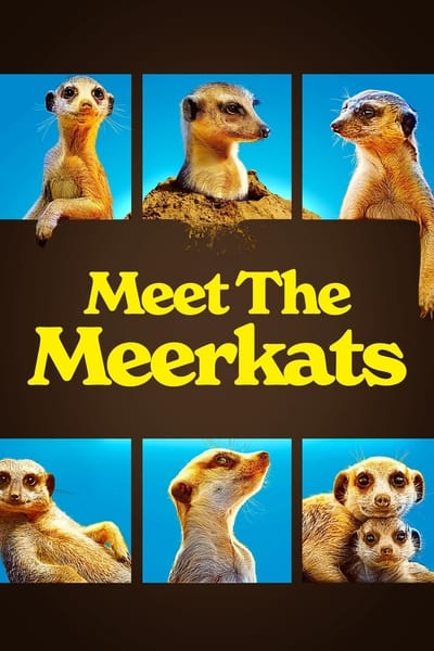 le-gang-des-suricates-saison-1
